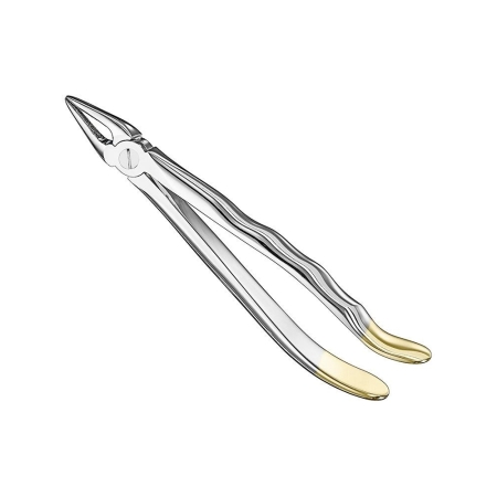 Extracting forceps, anat.